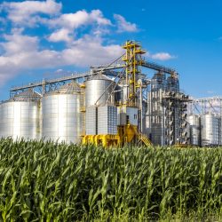 کشت و صنعت و کشاورزی